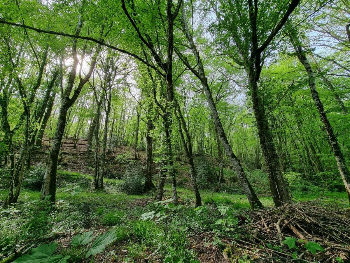 Le Domaine Du Cerf - Gites, Nature Et Spa Saint-Ouen-les-Vignes Exterior foto