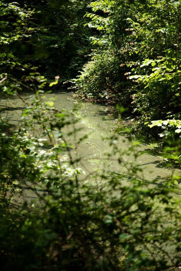 Le Domaine Du Cerf - Gites, Nature Et Spa Saint-Ouen-les-Vignes Exterior foto